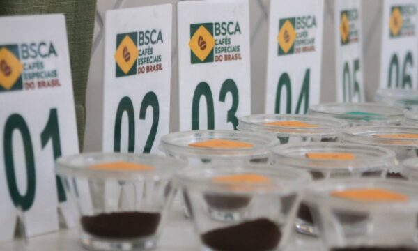 Seletiva de Juízes do Cup of Excellence Brazil 2026 prioriza pontuação técnica e acaba com vantagem por ordem de inscrição