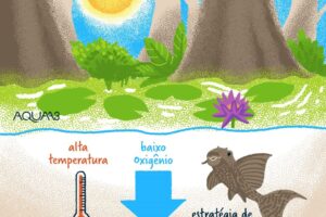 Como os peixes respiram?